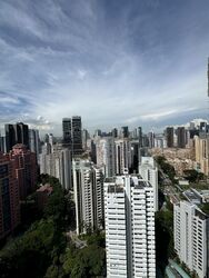 Irwell Hill Residences (D9), Apartment #451088411